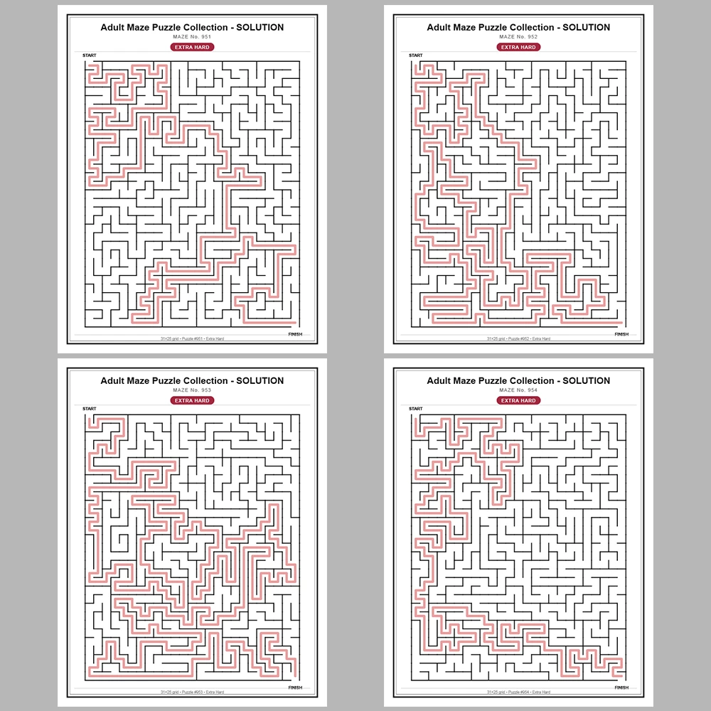 Maze Puzzle Extra Hard 50 Pages of Puzzles – Vol. 20