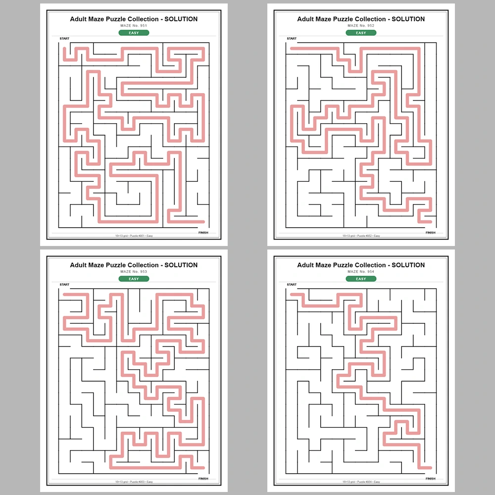 Maze Puzzle Easy 50 Pages of Puzzles – Vol. 20