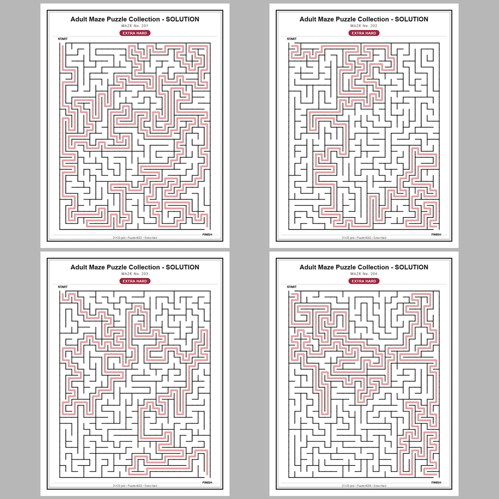 Maze Puzzle Extra Hard 50 Pages of Puzzles – Vol. 5