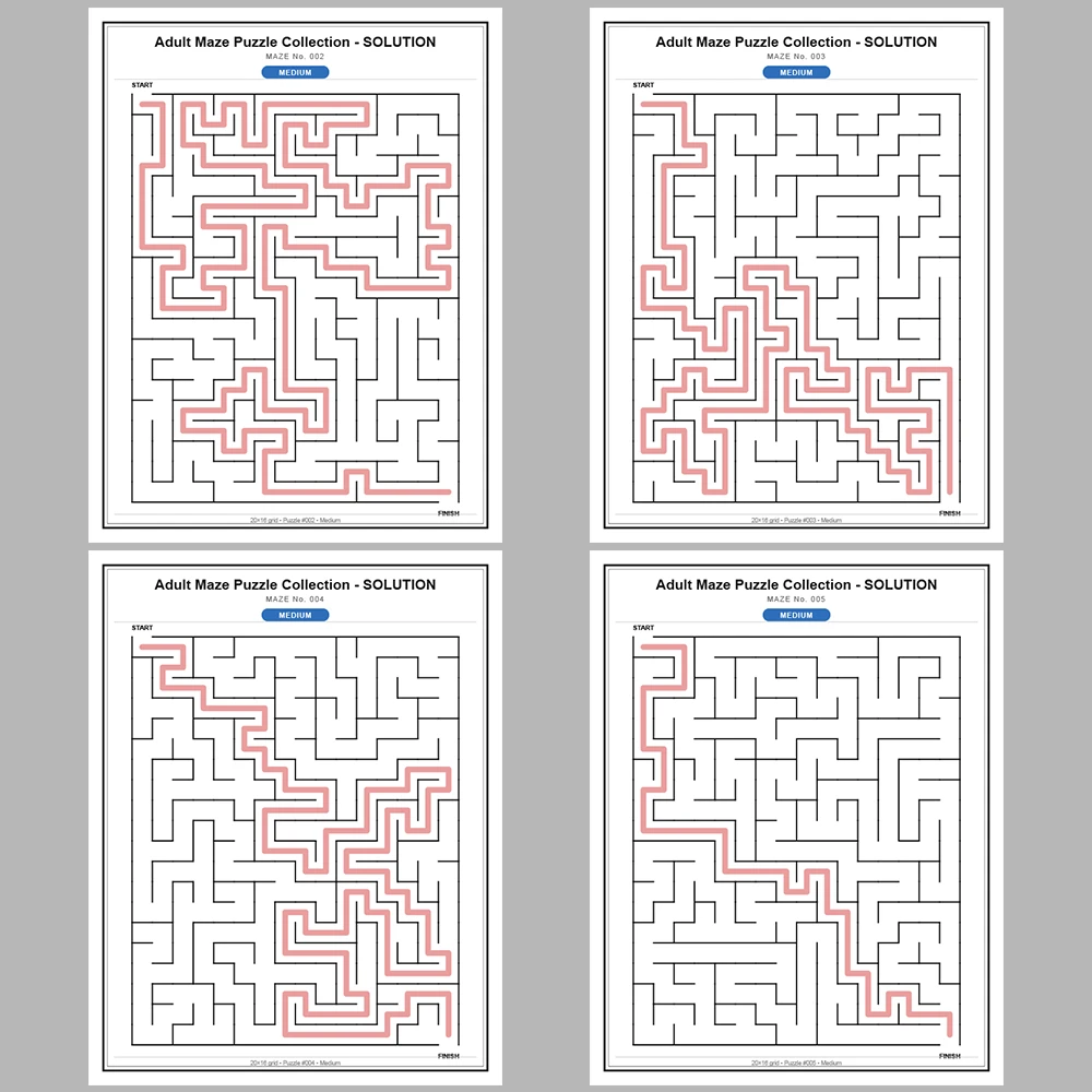 Maze Puzzle Medium 50 Pages of Puzzles – Vol. 1