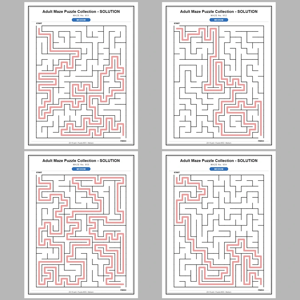 Maze Puzzle Medium 50 Pages of Puzzles – Vol. 20