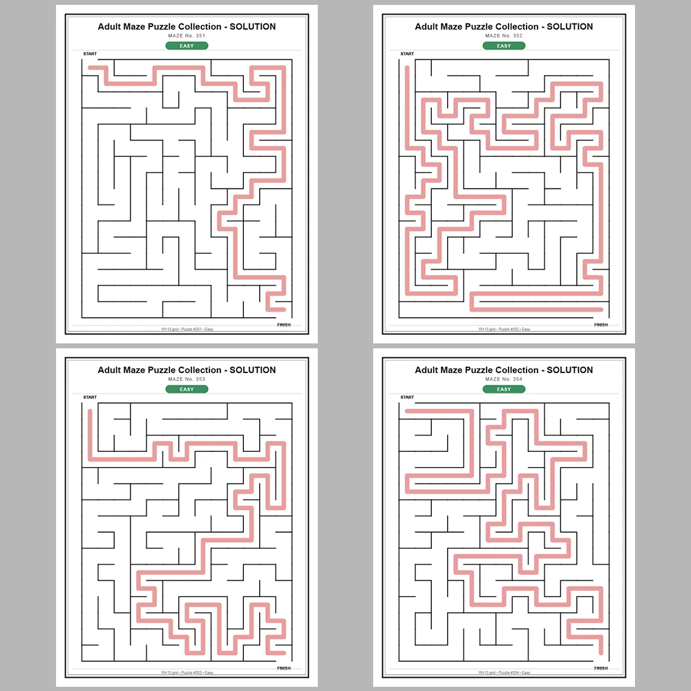 Maze Puzzle Easy 50 Pages of Puzzles – Vol. 8