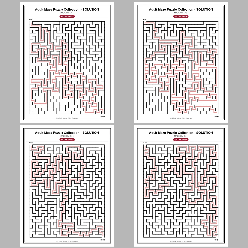 Maze Puzzle Extra Hard 50 Pages of Puzzles – Vol. 15