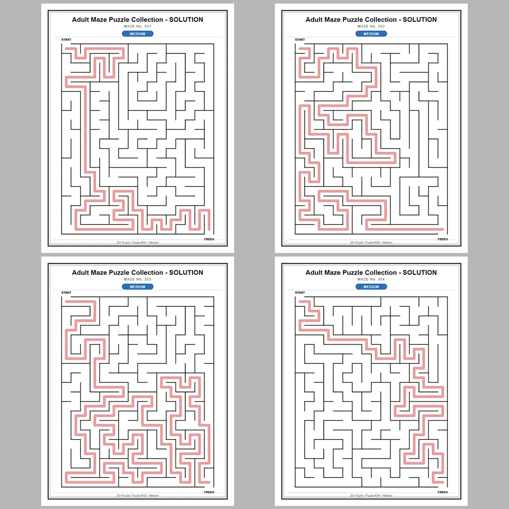 Maze Puzzle Medium 50 Pages of Puzzles – Vol. 8