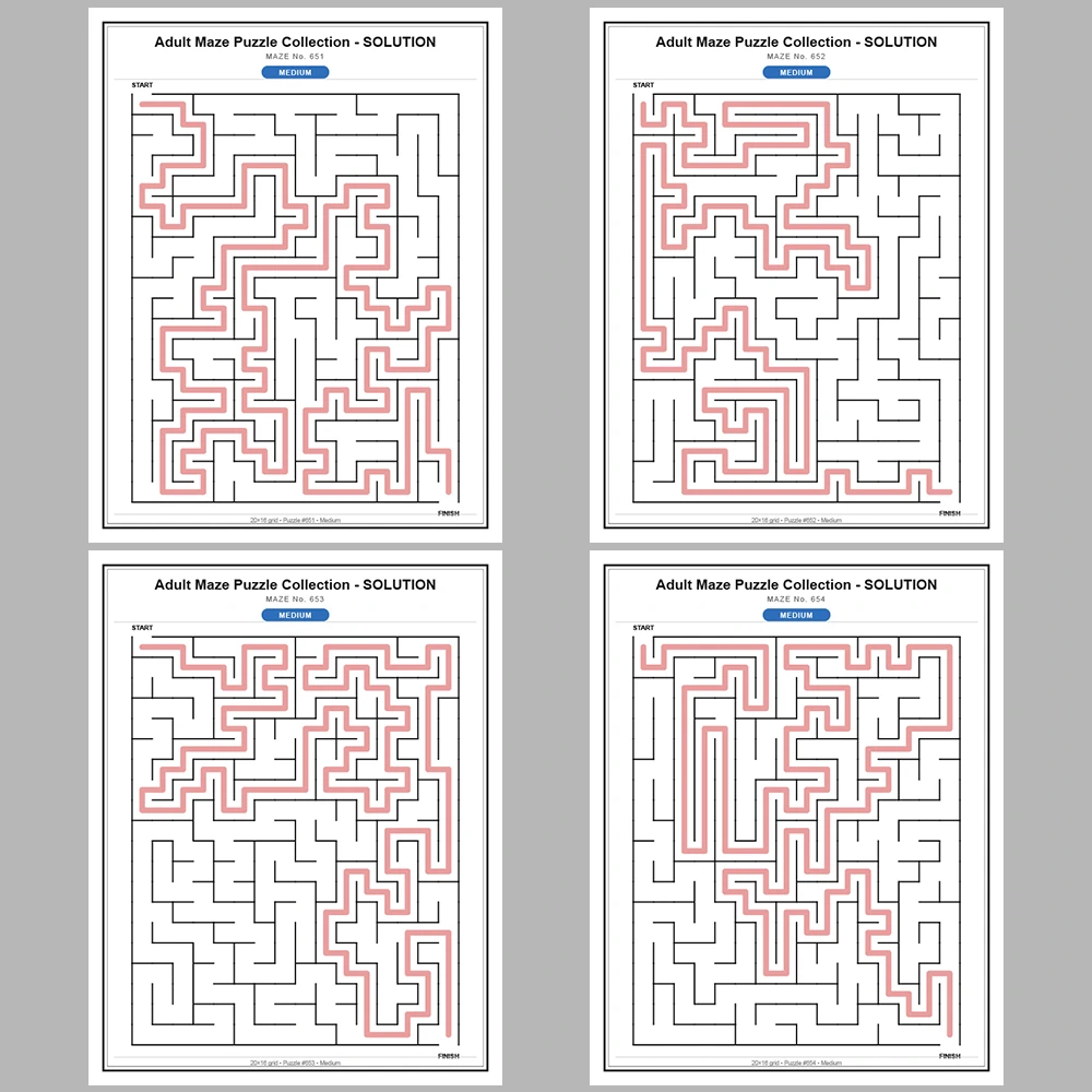 Maze Puzzle Medium 50 Pages of Puzzles – Vol. 14