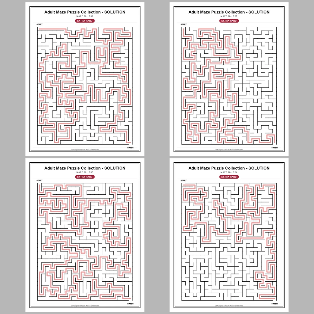 Maze Puzzle Extra Hard 50 Pages of Puzzles – Vol. 6