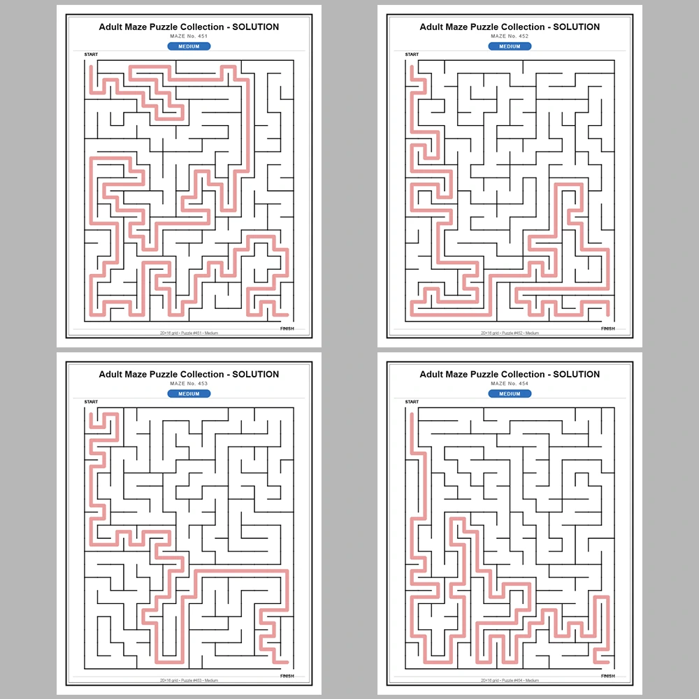 Maze Puzzle Medium 50 Pages of Puzzles – Vol. 10