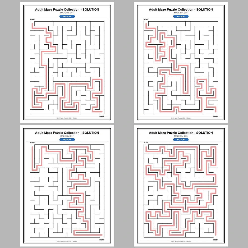 Maze Puzzle Medium 50 Pages of Puzzles – Vol. 5
