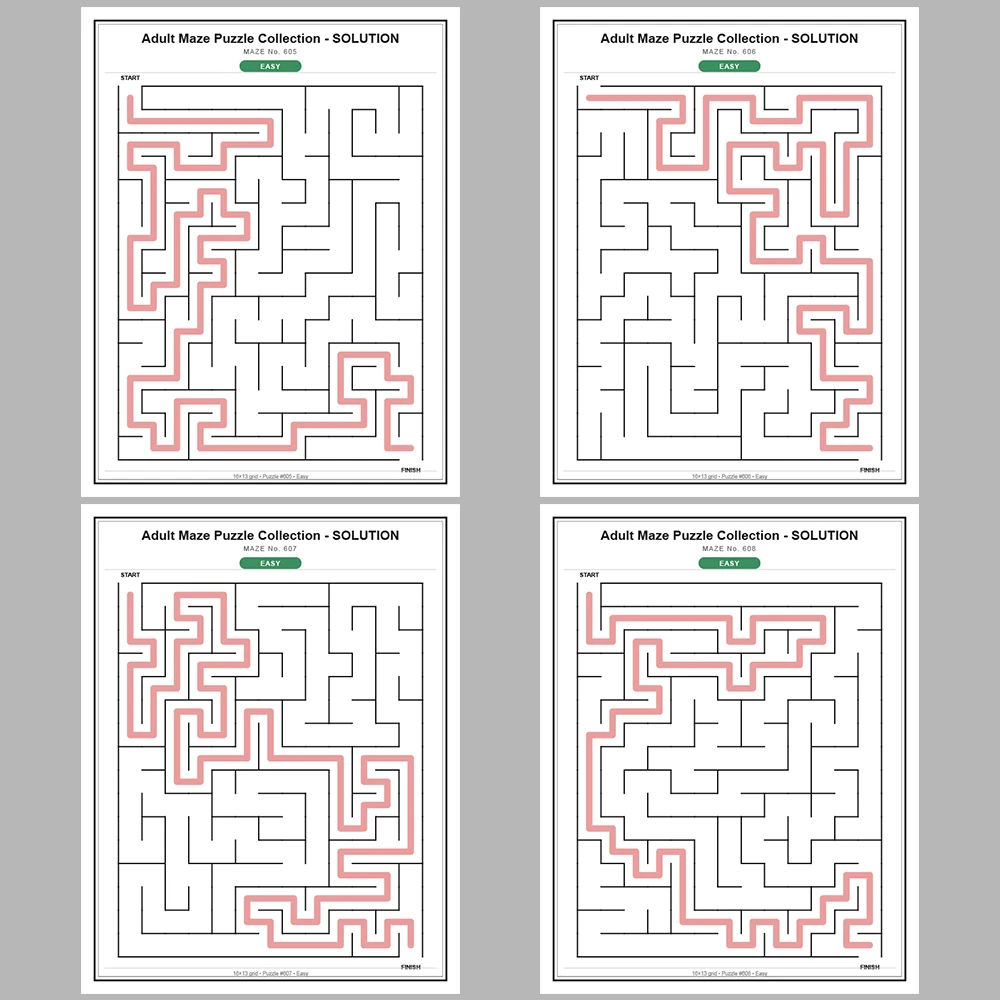 Maze Puzzle Easy 50 Pages of Puzzles – Vol. 13