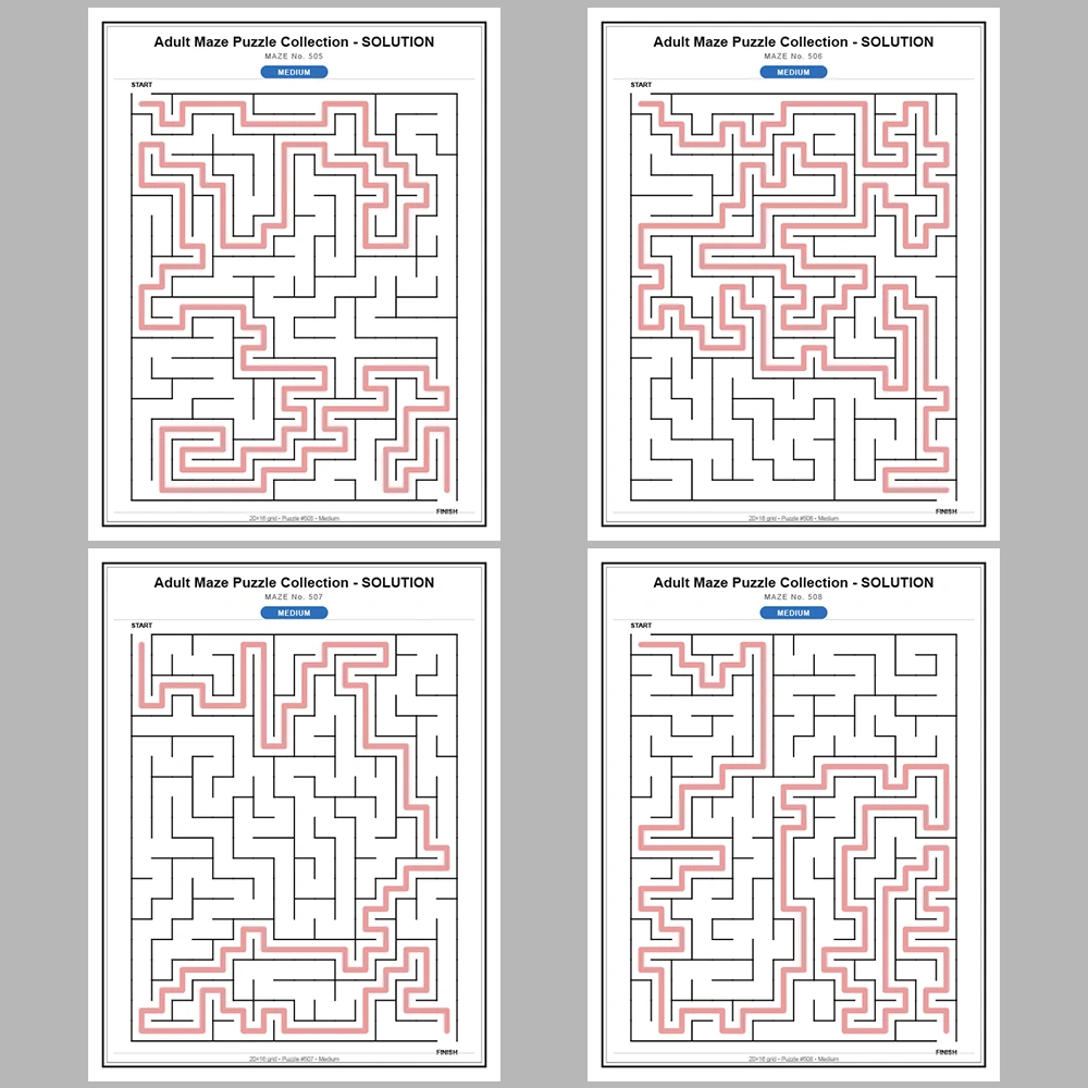 Maze Puzzle Medium 50 Pages of Puzzles – Vol. 11