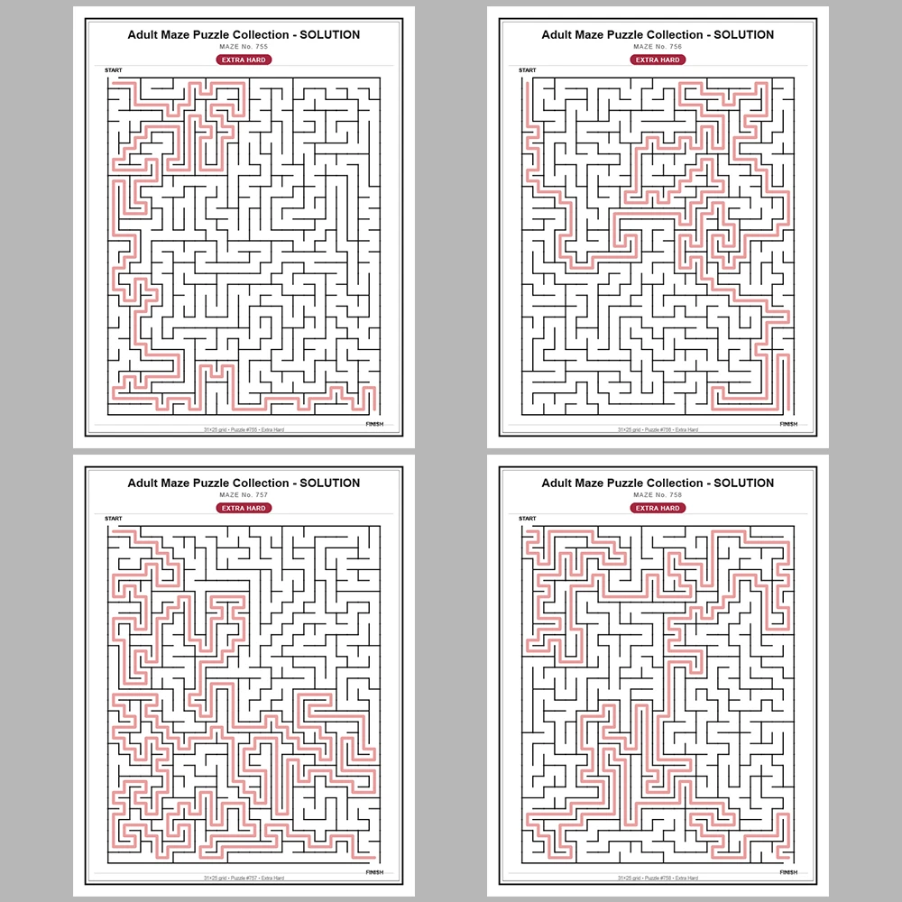 Maze Puzzle Extra Hard 50 Pages of Puzzles – Vol. 16