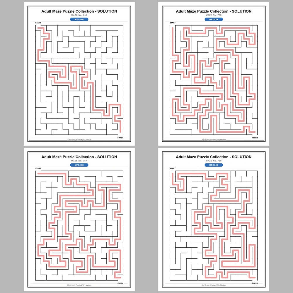 Maze Puzzle Medium 50 Pages of Puzzles – Vol. 16