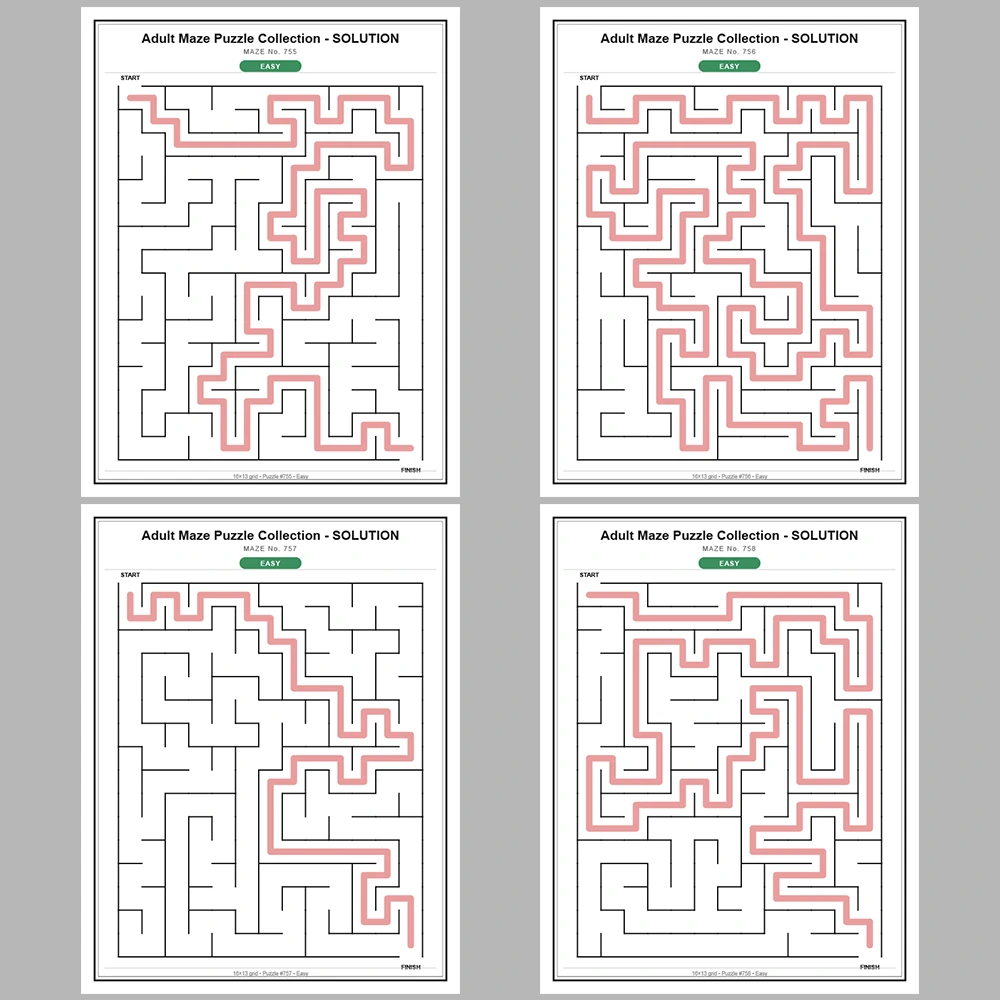 Maze Puzzle Easy 50 Pages of Puzzles – Vol. 16