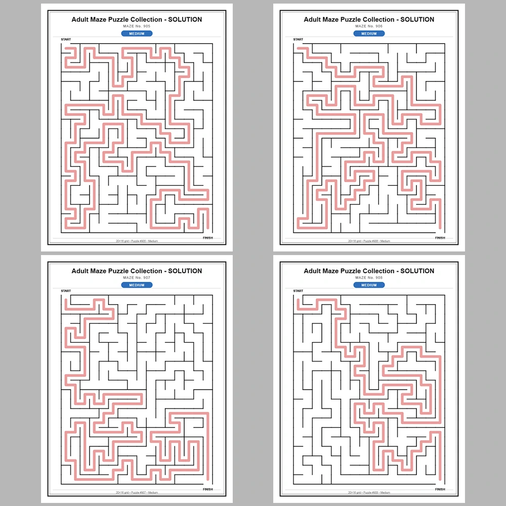 Maze Puzzle Medium 50 Pages of Puzzles – Vol. 19