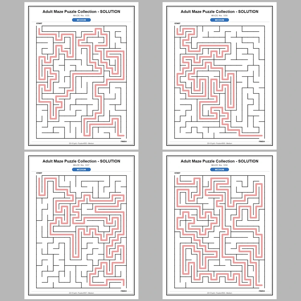 Maze Puzzle Medium 50 Pages of Puzzles – Vol. 12