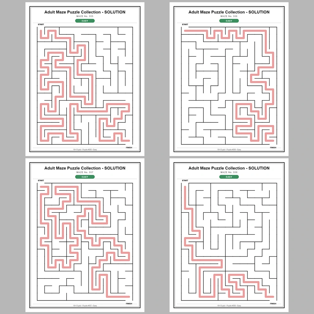 Maze Puzzle Easy 50 Pages of Puzzles – Vol. 12