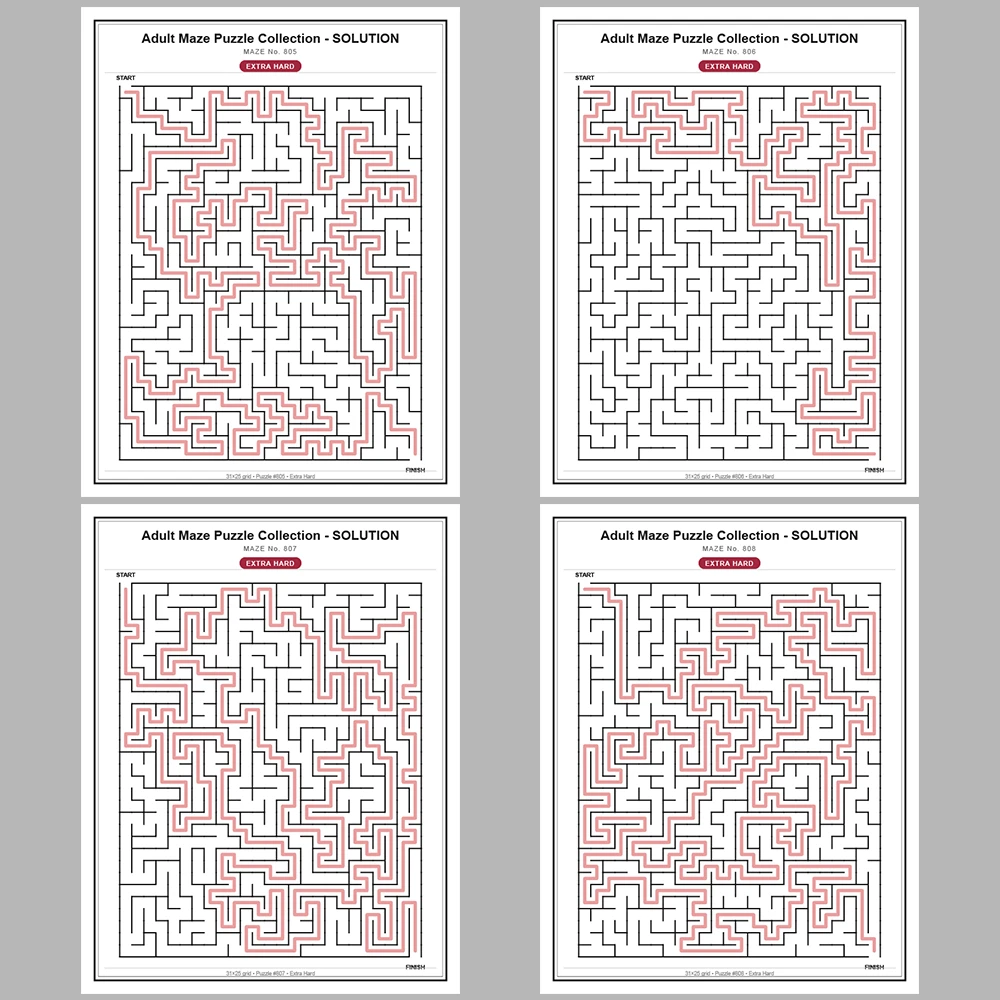 Maze Puzzle Extra Hard 50 Pages of Puzzles – Vol. 17