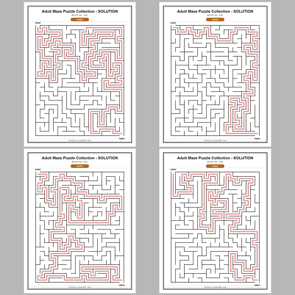 Maze Puzzle Hard 50 Pages of Puzzles – Vol. 13