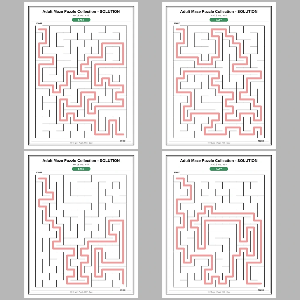 Maze Puzzle Easy 50 Pages of Puzzles – Vol. 10
