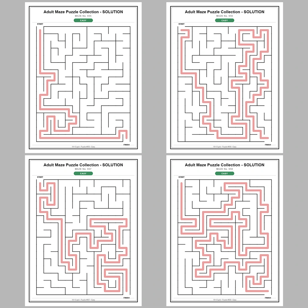 Maze Puzzle Easy 50 Pages of Puzzles – Vol. 14