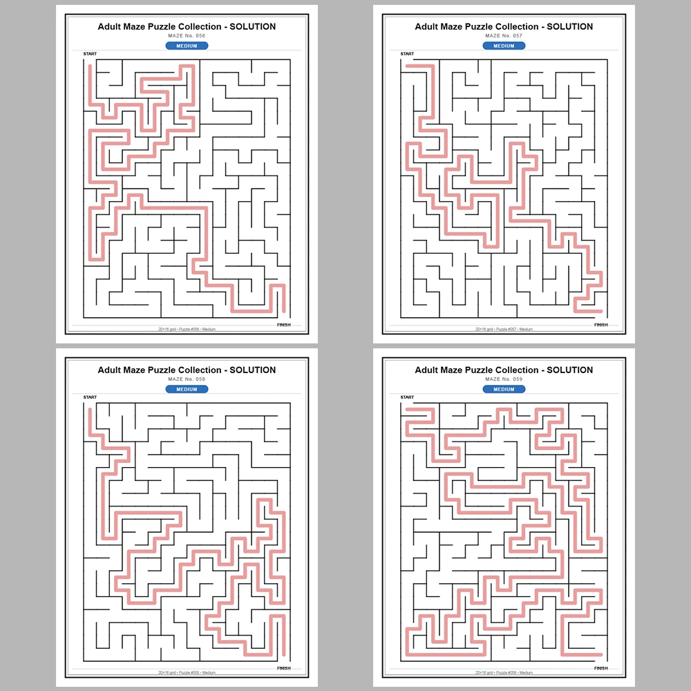 Maze Puzzle Medium 50 Pages of Puzzles – Vol. 2