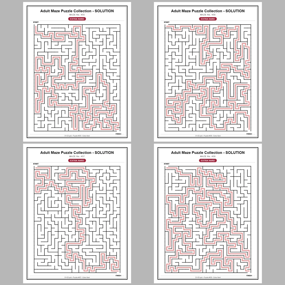 Maze Puzzle Extra Hard 50 Pages of Puzzles – Vol. 10