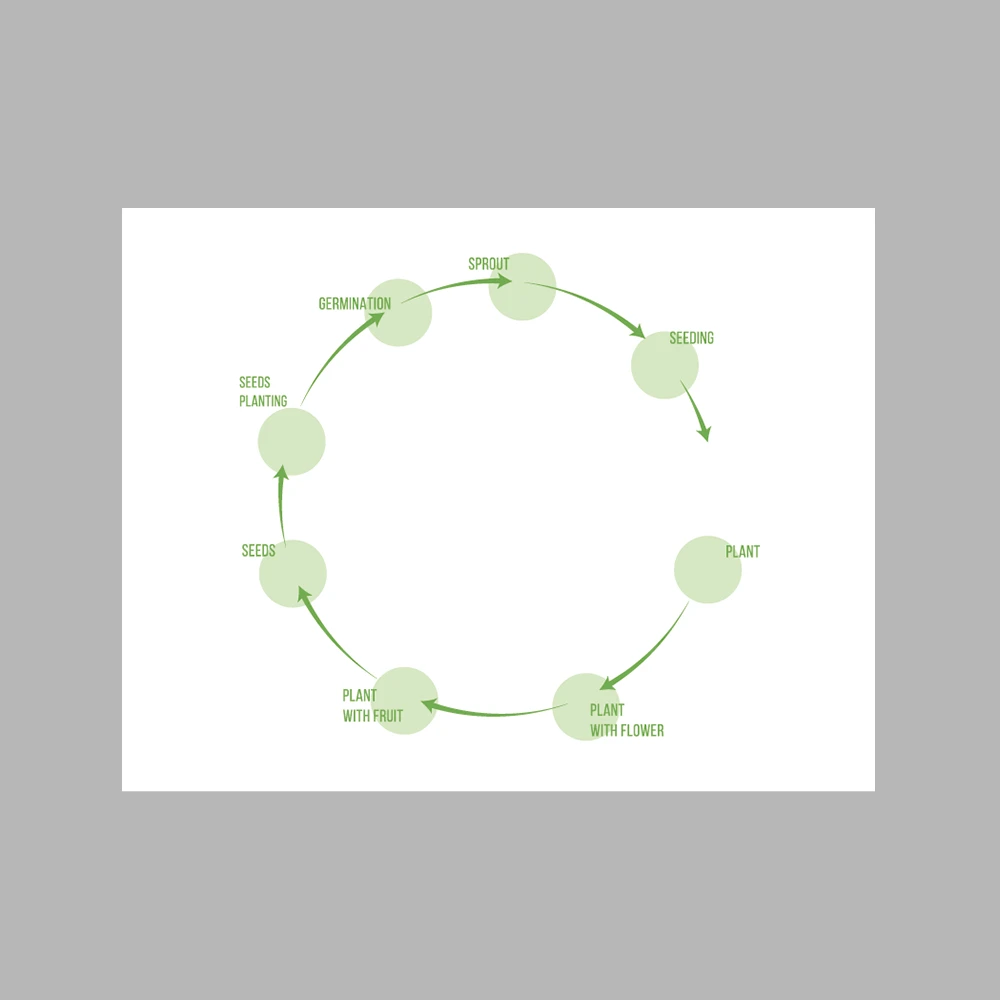 Plant Life Cycle