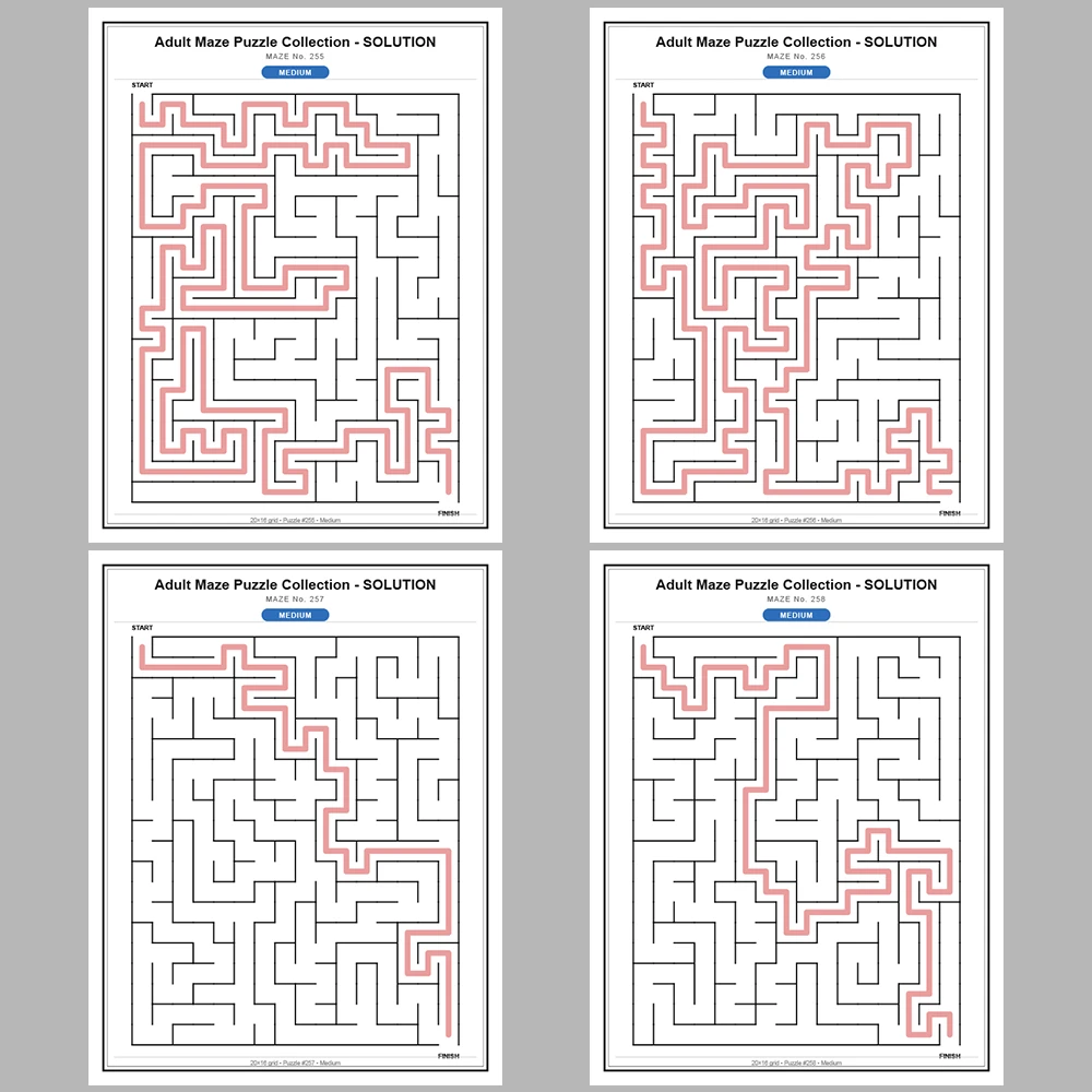 Maze Puzzle Medium 50 Pages of Puzzles – Vol. 6