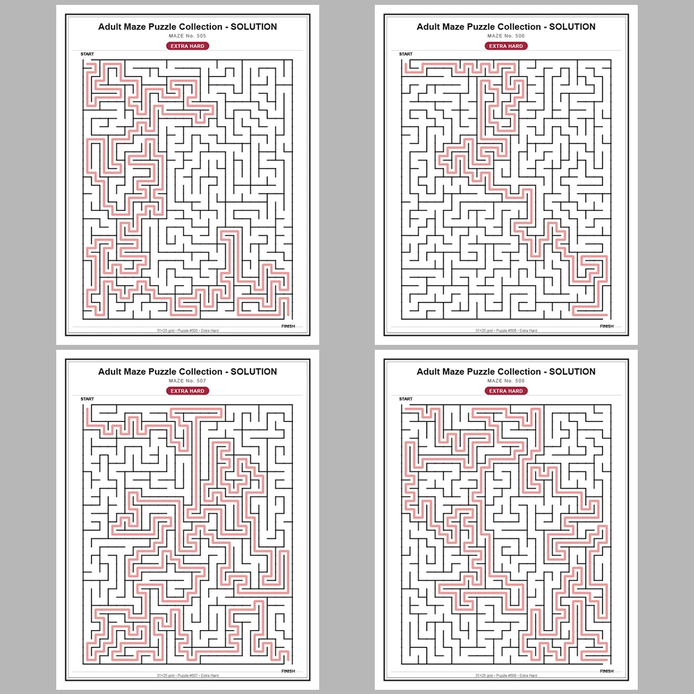 Maze Puzzle Extra Hard 50 Pages of Puzzles – Vol. 11