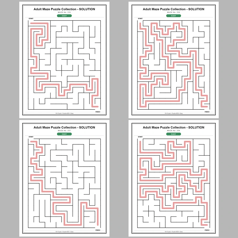 Maze Puzzle Easy 50 Pages of Puzzles – Vol. 6