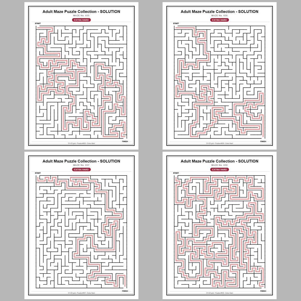 Maze Puzzle Extra Hard 50 Pages of Puzzles – Vol. 14