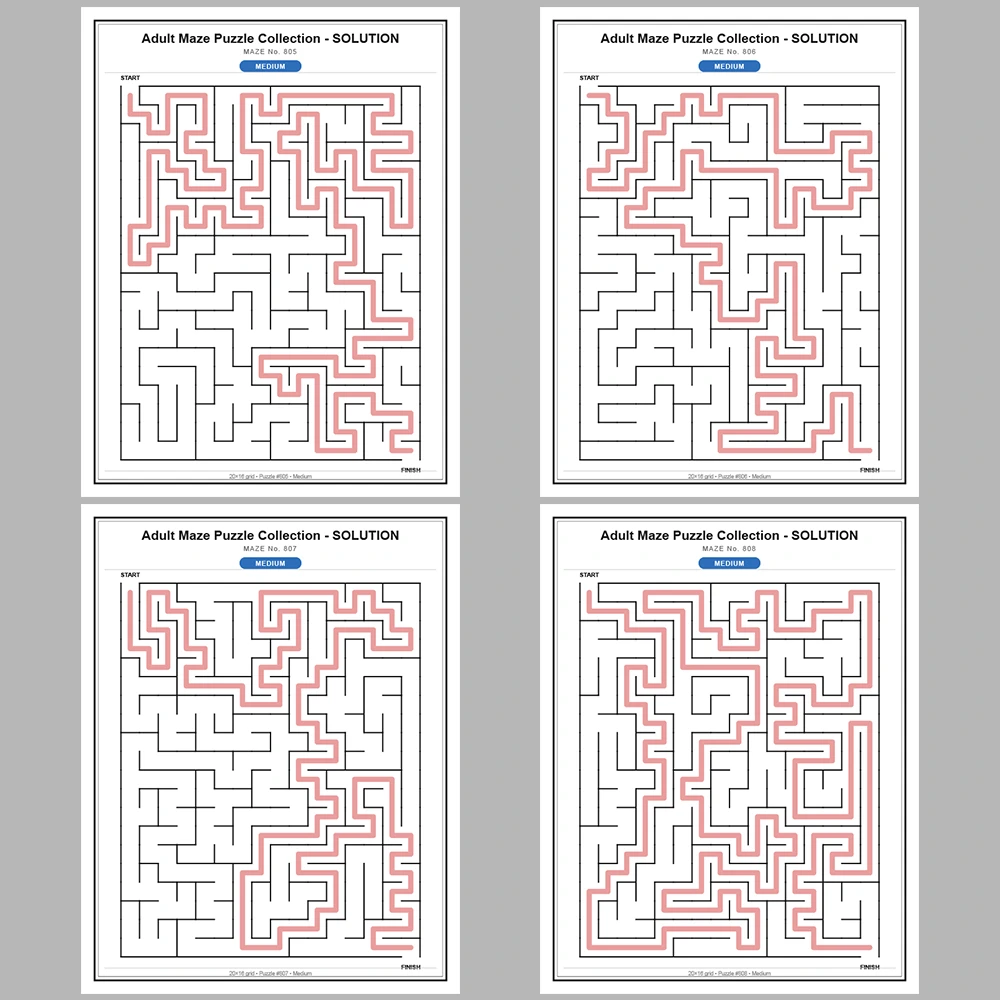 Maze Puzzle Medium 50 Pages of Puzzles – Vol. 17