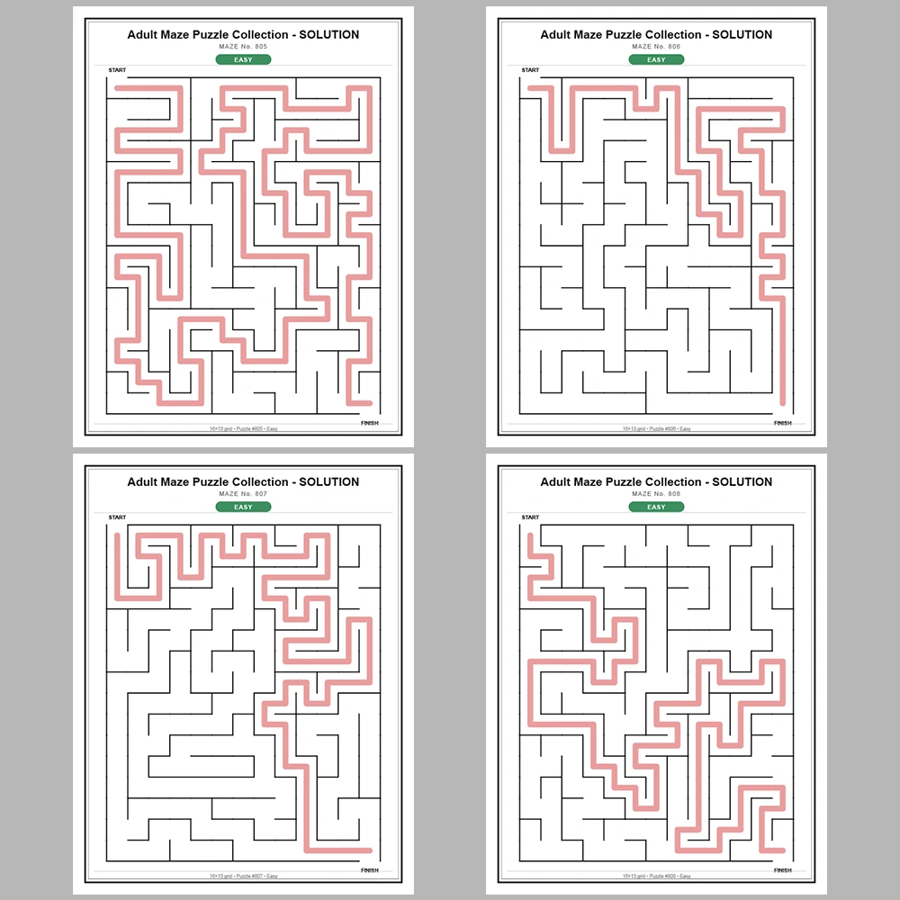 Maze Puzzle Easy 50 Pages of Puzzles – Vol. 17