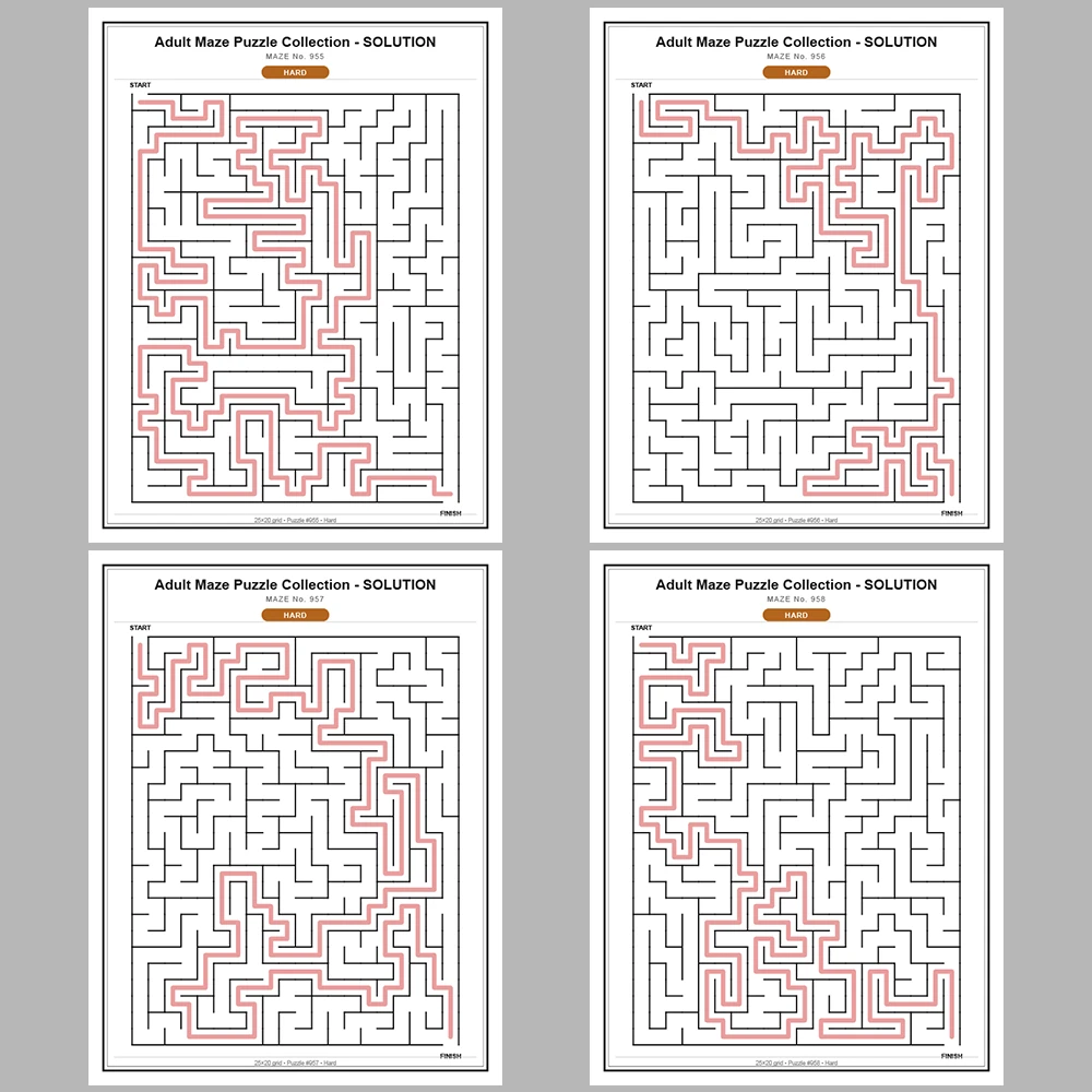 Maze Puzzle Hard 50 Pages of Puzzles – Vol. 20