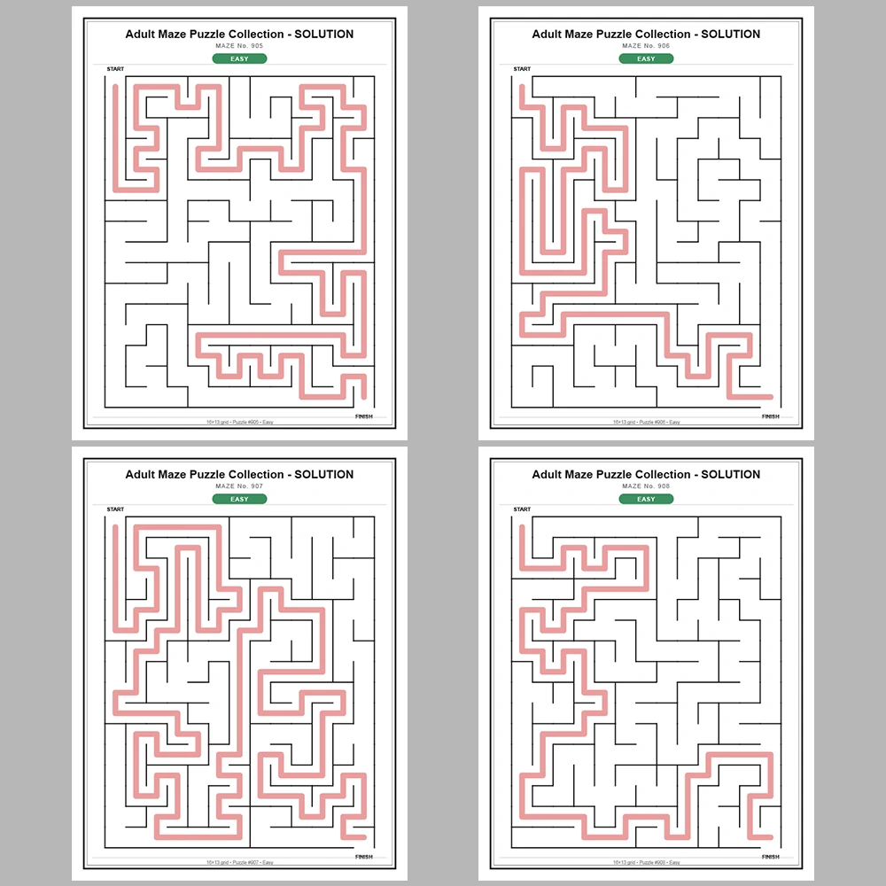 Maze Puzzle Easy 50 Pages of Puzzles – Vol. 19