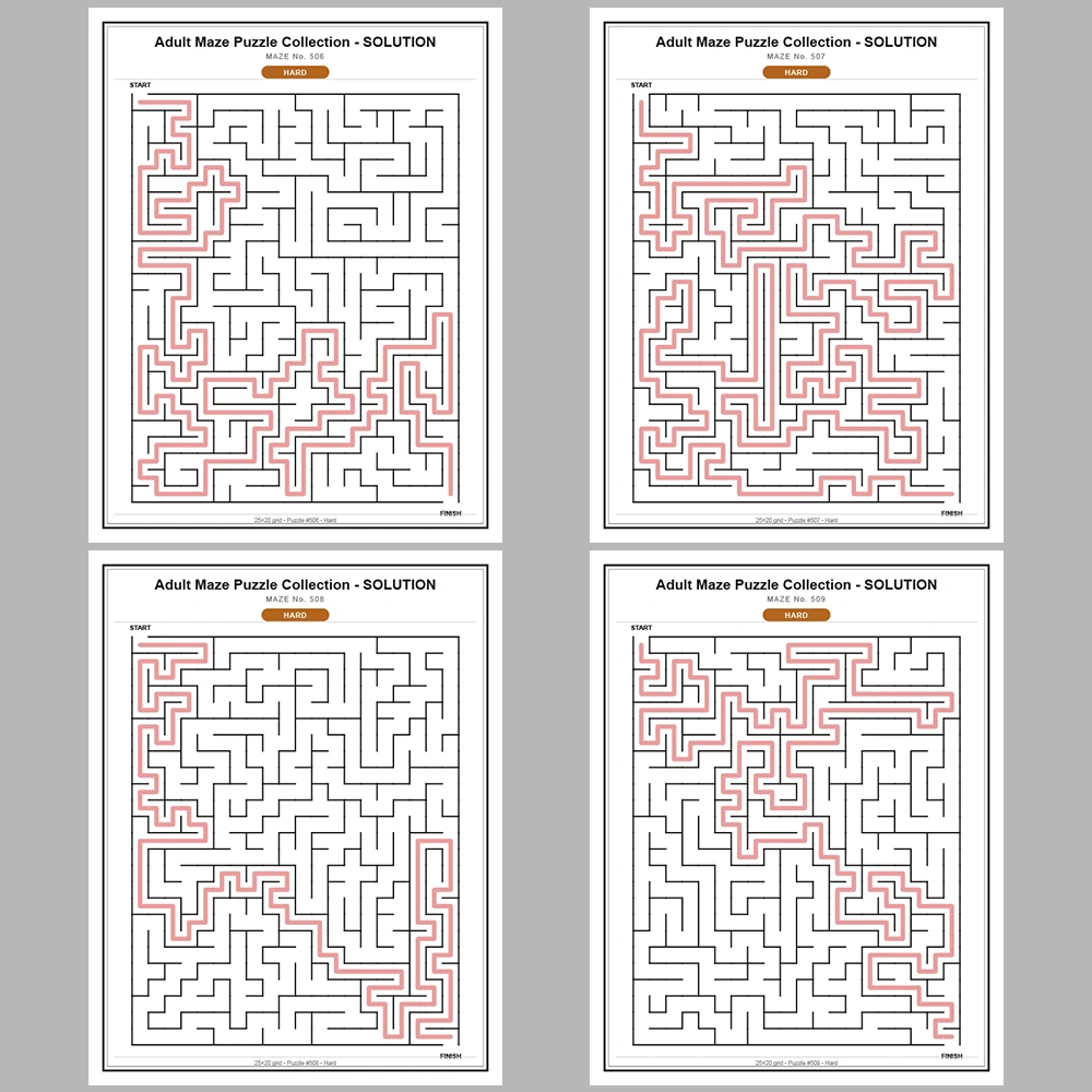 Maze Puzzle Hard 250 Pages of Puzzles – Vol. 3