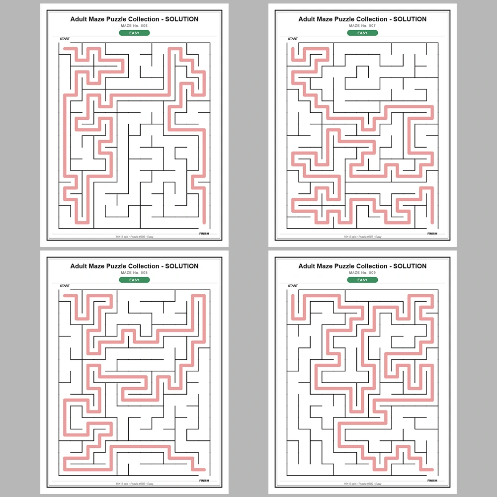 Maze Puzzle Easy 250 Pages of Puzzles – Vol. 3