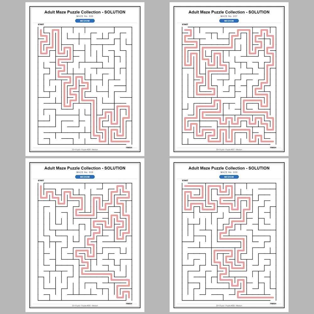 Maze Puzzle Medium 250 Pages of Puzzles – Vol. 1