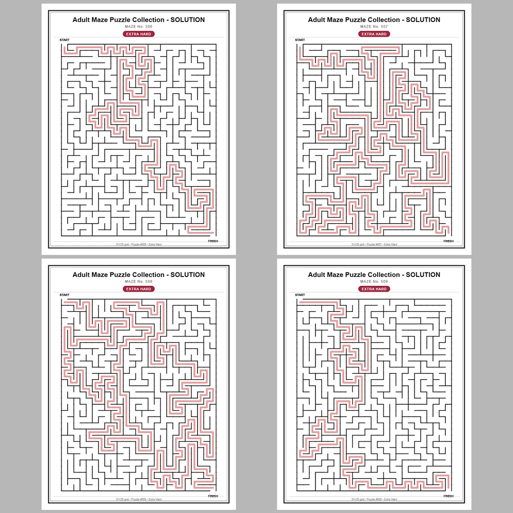 Maze Puzzle Extra Hard 250 Pages of Puzzles – Vol. 3