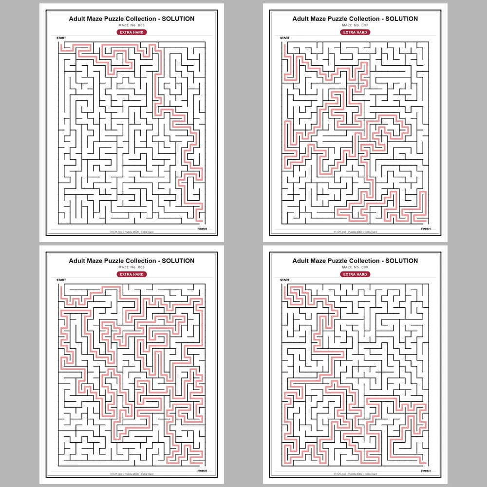 Maze Puzzle Extra Hard 250 Pages of Puzzles – Vol. 1
