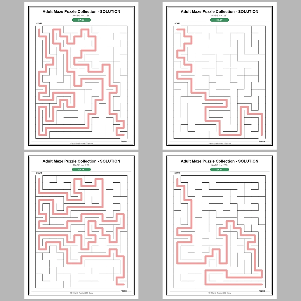 Maze Puzzle Easy 250 Pages of Puzzles – Vol. 2