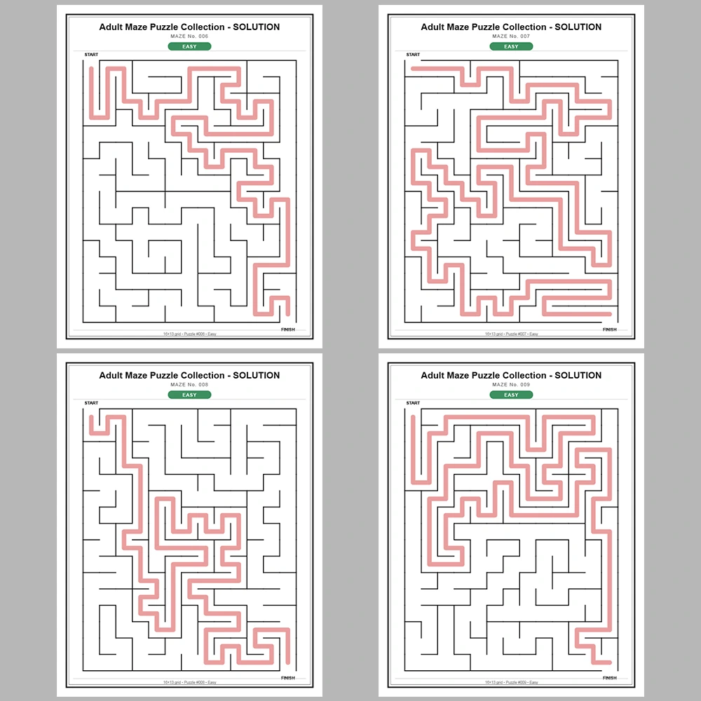 Maze Puzzle Easy 250 Pages of Puzzles – Vol. 1