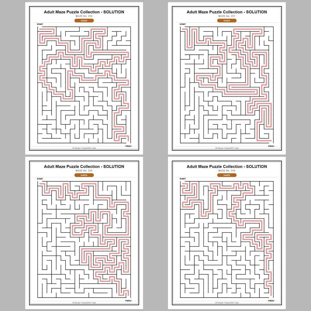 Maze Puzzle Hard 250 Pages of Puzzles – Vol. 2