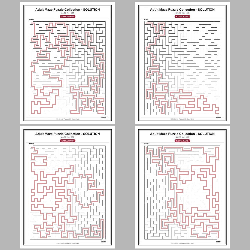 Maze Puzzle Extra Hard 50 Pages of Puzzles – Vol. 12