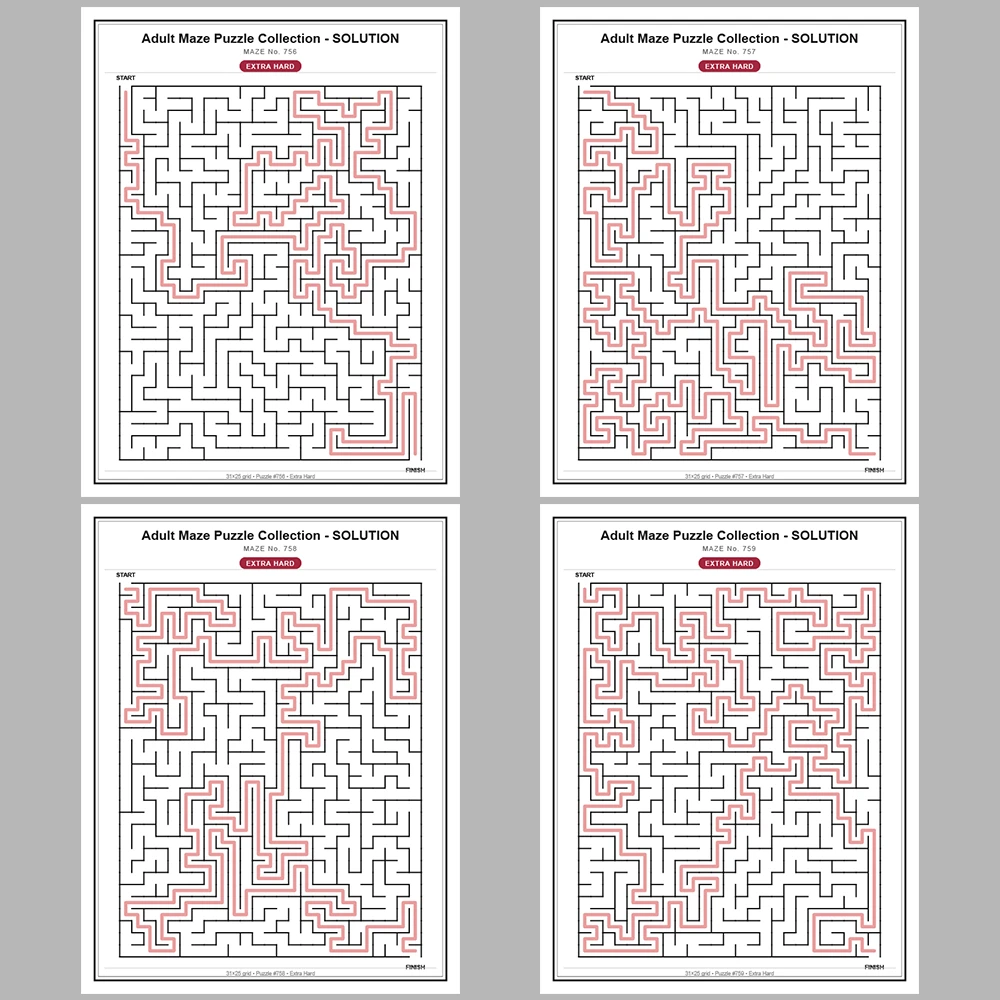 Maze Puzzle Extra Hard 250 Pages of Puzzles – Vol. 4