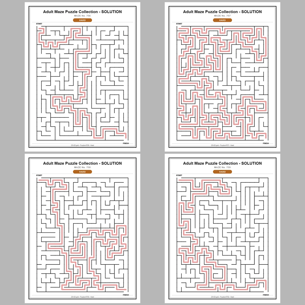 Maze Puzzle Hard 250 Pages of Puzzles – Vol. 4