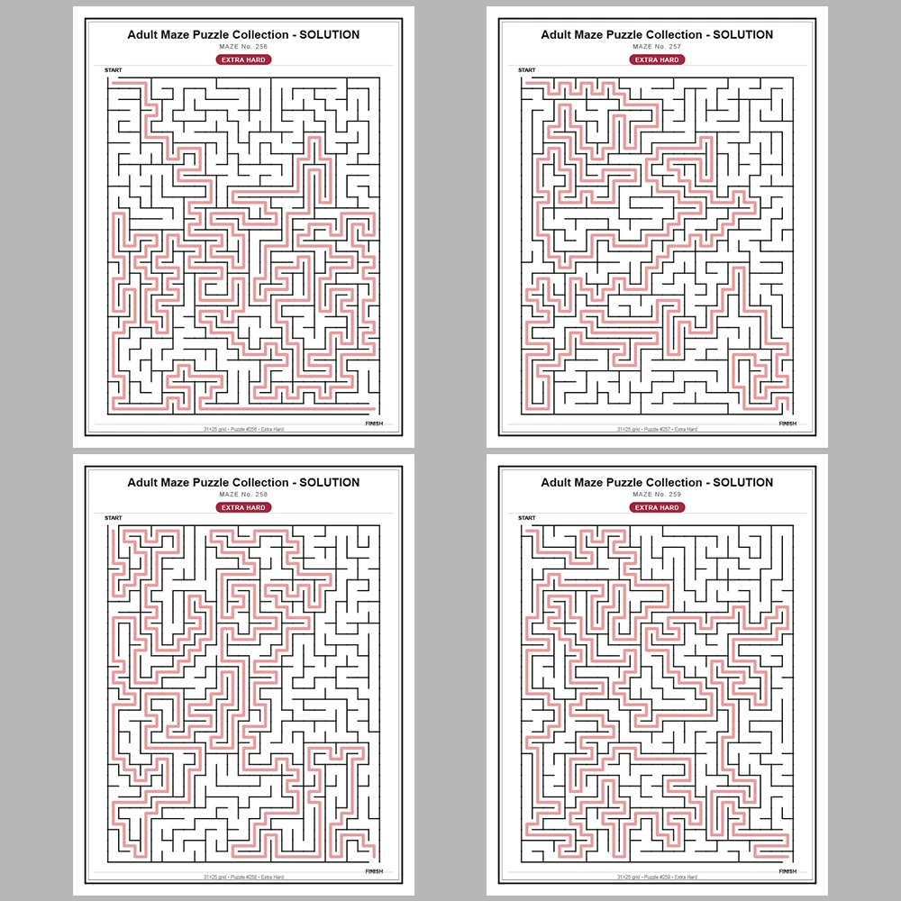 Maze Puzzle Extra Hard 250 Pages of Puzzles – Vol. 2