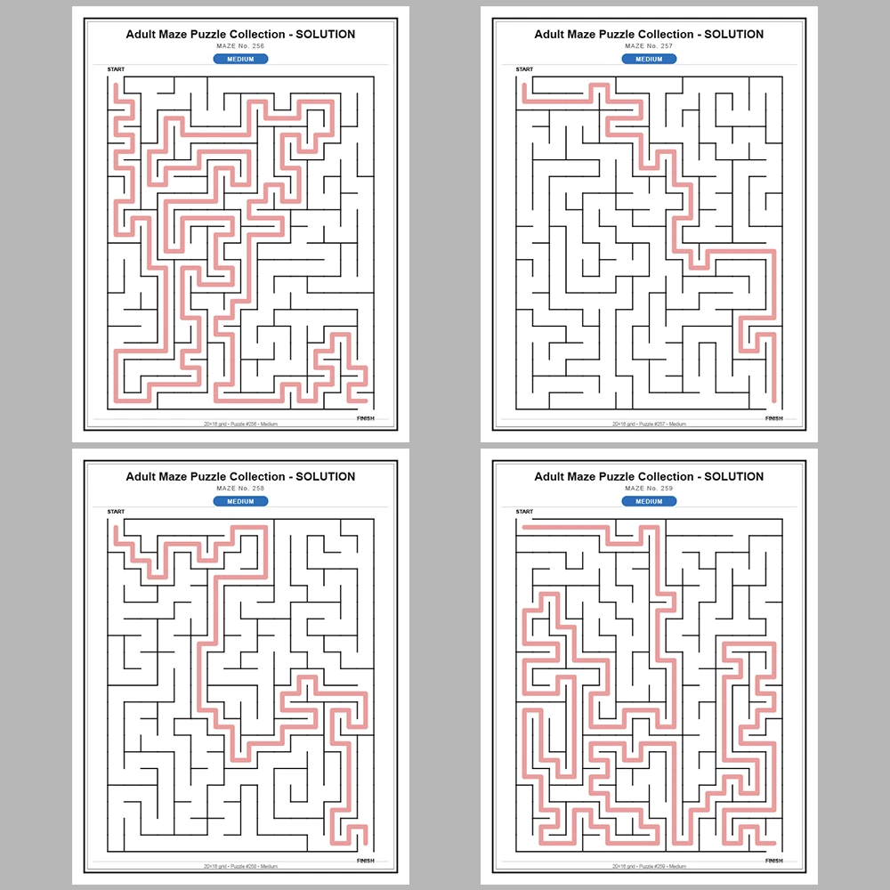 Maze Puzzle Medium 250 Pages of Puzzles – Vol. 2