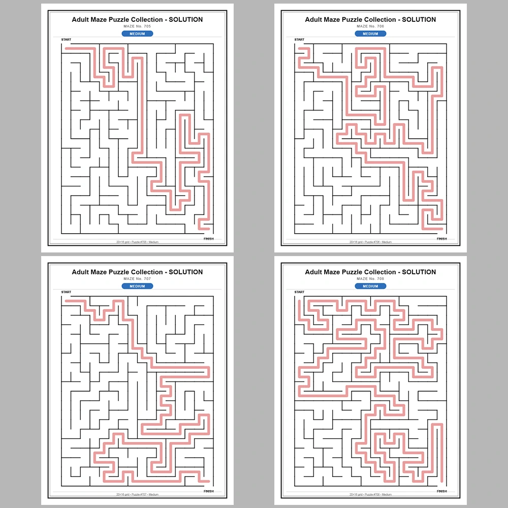 Maze Puzzle Medium 50 Pages of Puzzles – Vol. 15