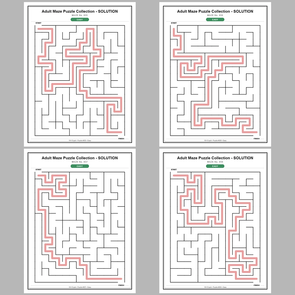 Maze Puzzle Easy 50 Pages of Puzzles – Vol. 18